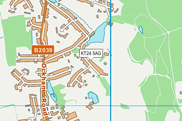 KT24 5AG map - OS VectorMap District (Ordnance Survey)