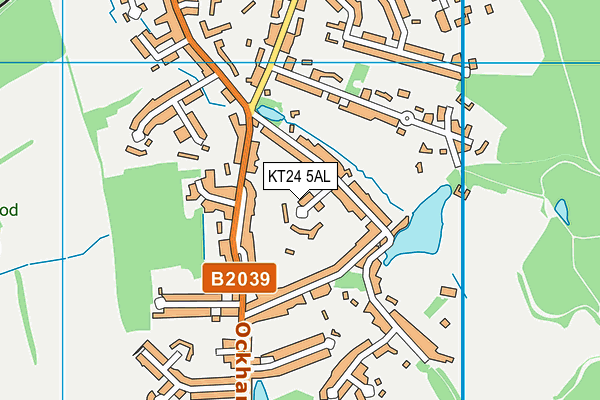 KT24 5AL map - OS VectorMap District (Ordnance Survey)