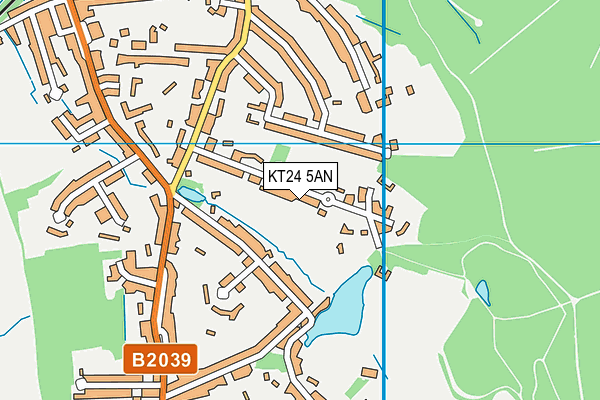 KT24 5AN map - OS VectorMap District (Ordnance Survey)