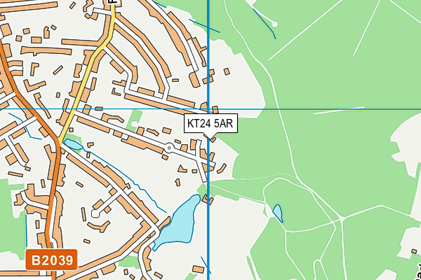 KT24 5AR map - OS VectorMap District (Ordnance Survey)