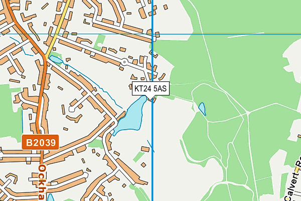 KT24 5AS map - OS VectorMap District (Ordnance Survey)