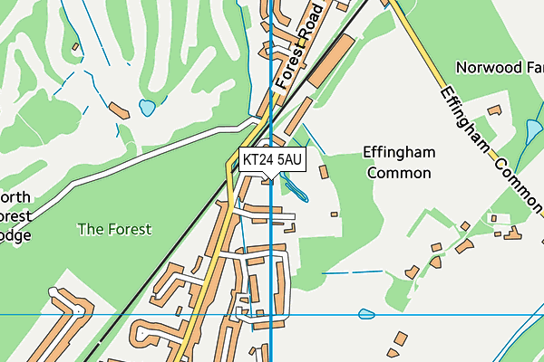 KT24 5AU map - OS VectorMap District (Ordnance Survey)