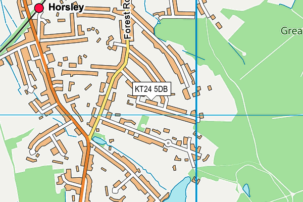 KT24 5DB map - OS VectorMap District (Ordnance Survey)