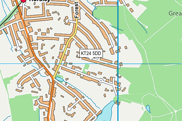 KT24 5DD map - OS VectorMap District (Ordnance Survey)