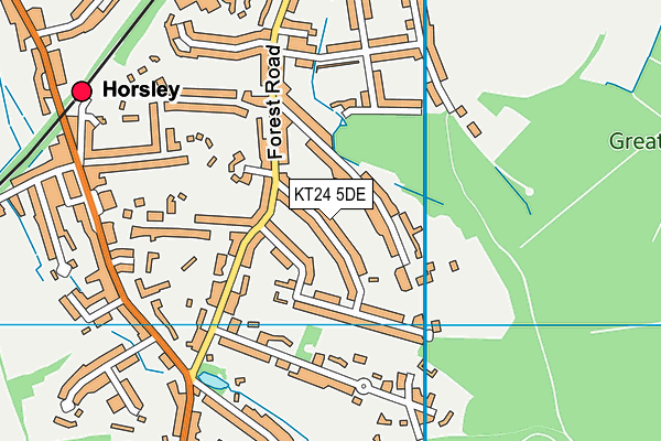 KT24 5DE map - OS VectorMap District (Ordnance Survey)