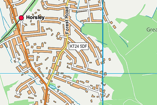 KT24 5DF map - OS VectorMap District (Ordnance Survey)