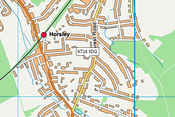 KT24 5DQ map - OS VectorMap District (Ordnance Survey)