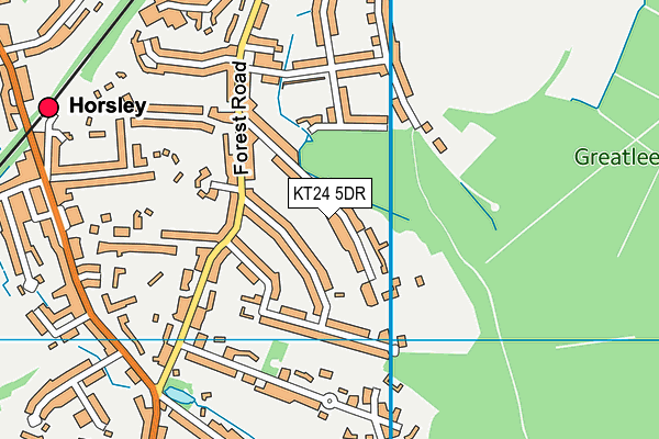 KT24 5DR map - OS VectorMap District (Ordnance Survey)