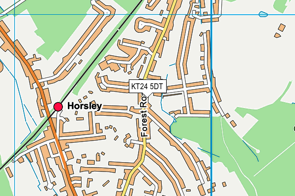 KT24 5DT map - OS VectorMap District (Ordnance Survey)