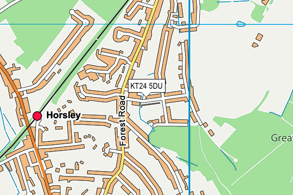 KT24 5DU map - OS VectorMap District (Ordnance Survey)