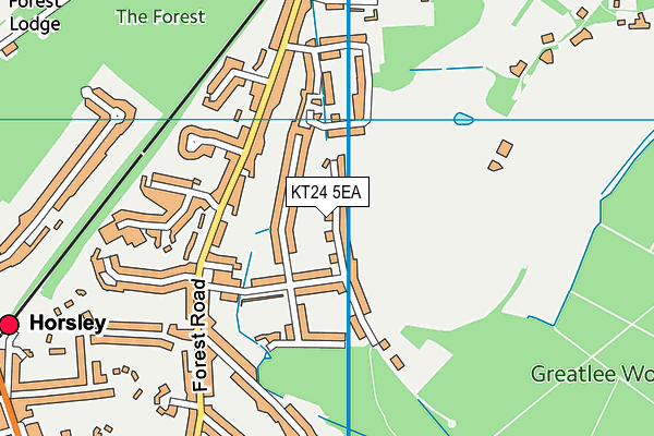 KT24 5EA map - OS VectorMap District (Ordnance Survey)