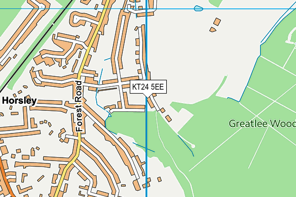 KT24 5EE map - OS VectorMap District (Ordnance Survey)