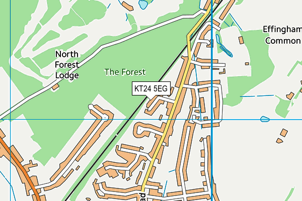 KT24 5EG map - OS VectorMap District (Ordnance Survey)