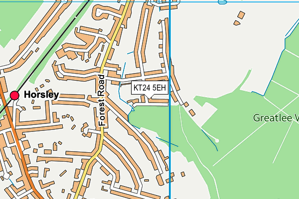 KT24 5EH map - OS VectorMap District (Ordnance Survey)