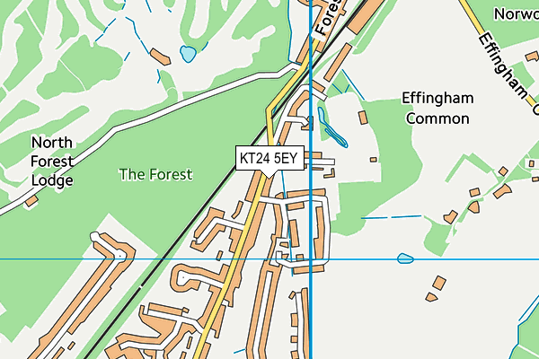 KT24 5EY map - OS VectorMap District (Ordnance Survey)