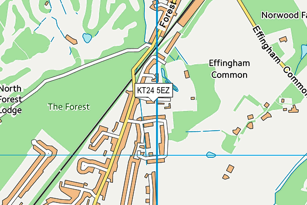 KT24 5EZ map - OS VectorMap District (Ordnance Survey)