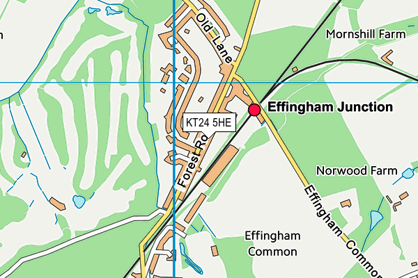 KT24 5HE map - OS VectorMap District (Ordnance Survey)