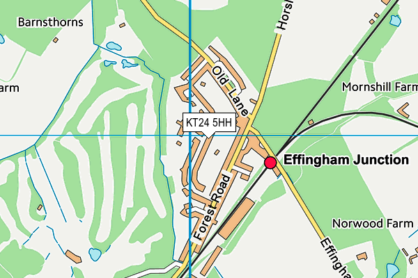 KT24 5HH map - OS VectorMap District (Ordnance Survey)