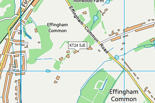 Effingham Cricket Ground map (KT24 5JE) - OS VectorMap District (Ordnance Survey)