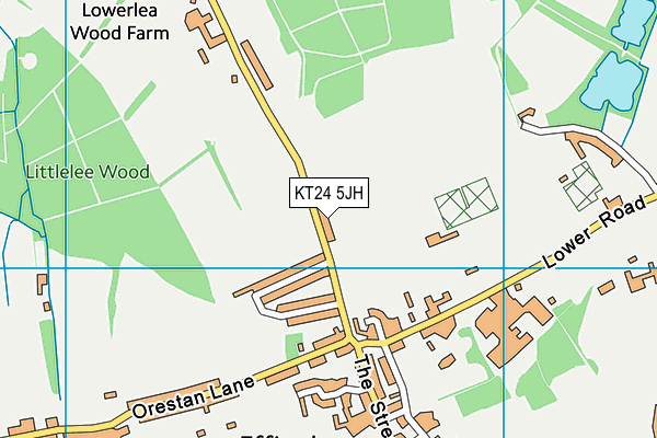 KT24 5JH map - OS VectorMap District (Ordnance Survey)