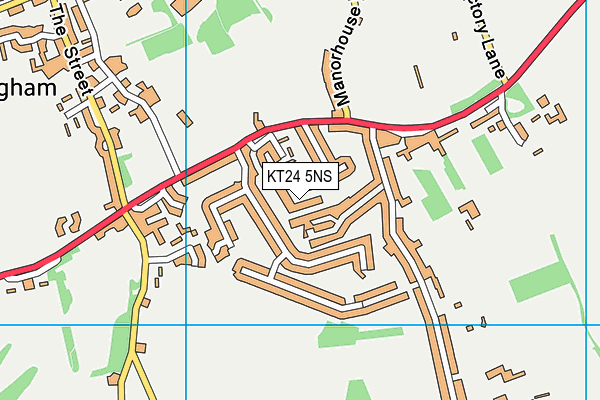 KT24 5NS map - OS VectorMap District (Ordnance Survey)