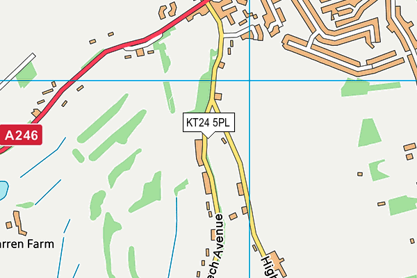 KT24 5PL map - OS VectorMap District (Ordnance Survey)