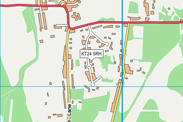 KT24 5RH map - OS VectorMap District (Ordnance Survey)