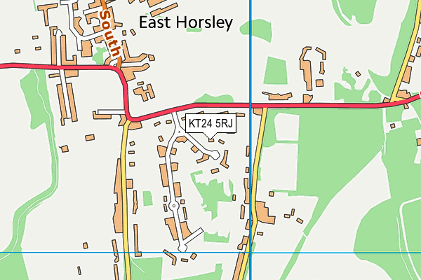 KT24 5RJ map - OS VectorMap District (Ordnance Survey)