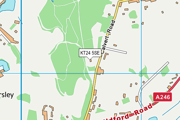 KT24 5SE map - OS VectorMap District (Ordnance Survey)