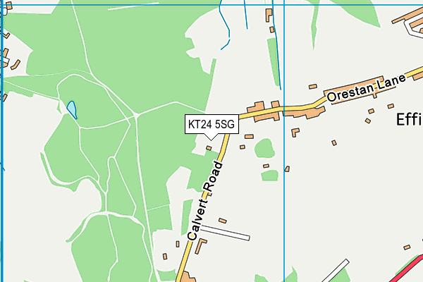 KT24 5SG map - OS VectorMap District (Ordnance Survey)