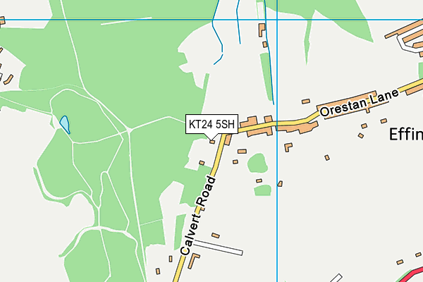 KT24 5SH map - OS VectorMap District (Ordnance Survey)