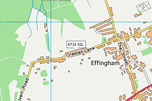 KT24 5SL map - OS VectorMap District (Ordnance Survey)