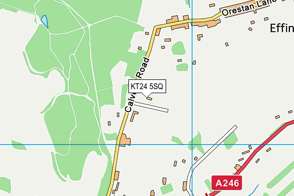 KT24 5SQ map - OS VectorMap District (Ordnance Survey)