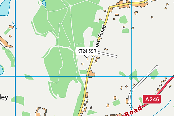 KT24 5SR map - OS VectorMap District (Ordnance Survey)