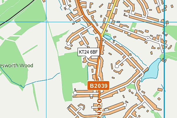 KT24 6BF map - OS VectorMap District (Ordnance Survey)
