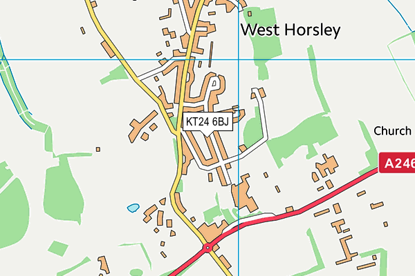KT24 6BJ map - OS VectorMap District (Ordnance Survey)