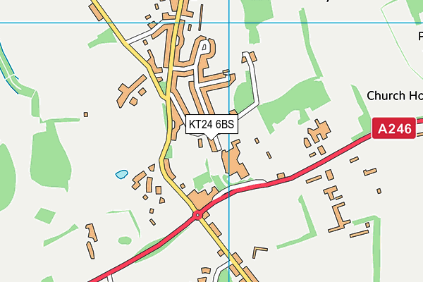 KT24 6BS map - OS VectorMap District (Ordnance Survey)