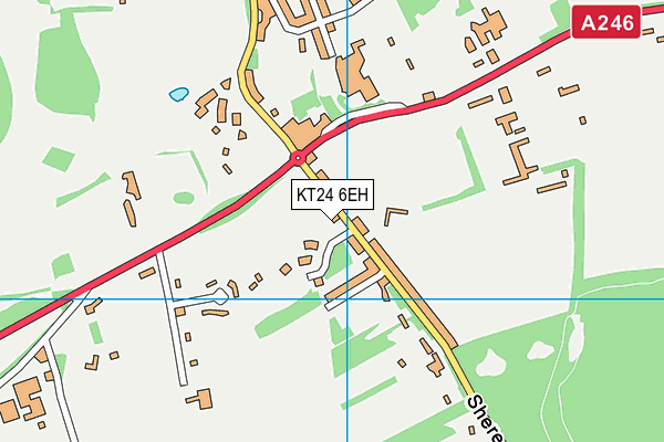 KT24 6EH map - OS VectorMap District (Ordnance Survey)
