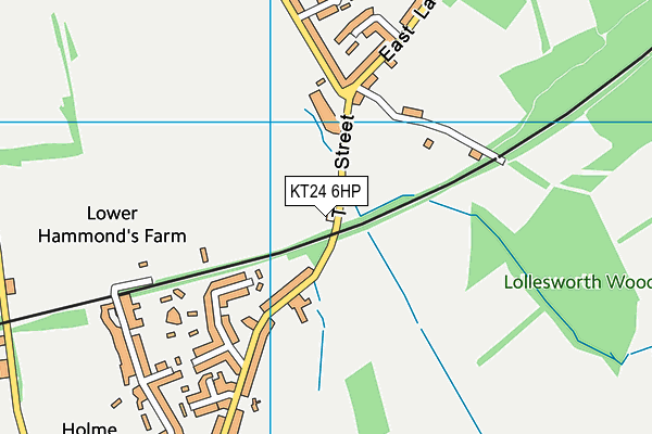 KT24 6HP map - OS VectorMap District (Ordnance Survey)