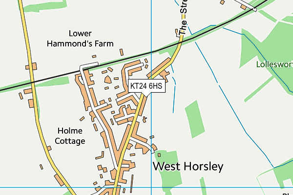 KT24 6HS map - OS VectorMap District (Ordnance Survey)