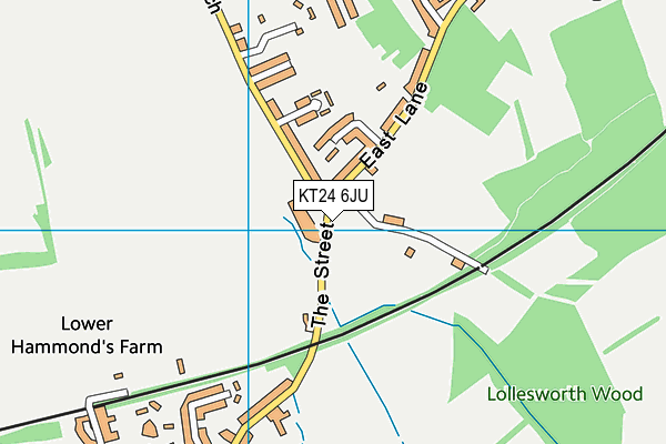 KT24 6JU map - OS VectorMap District (Ordnance Survey)