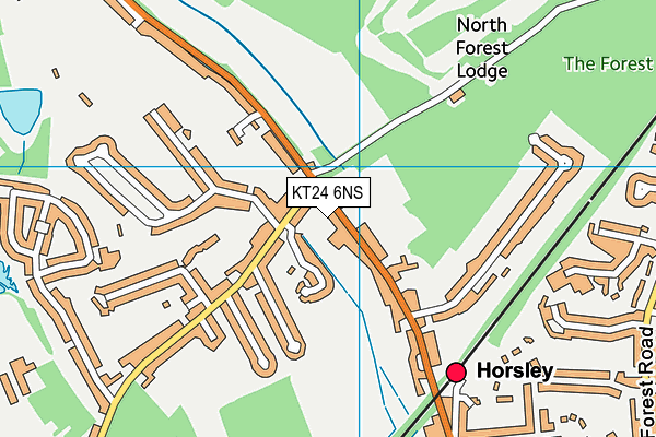 KT24 6NS map - OS VectorMap District (Ordnance Survey)
