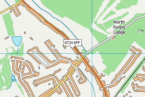 KT24 6PF map - OS VectorMap District (Ordnance Survey)