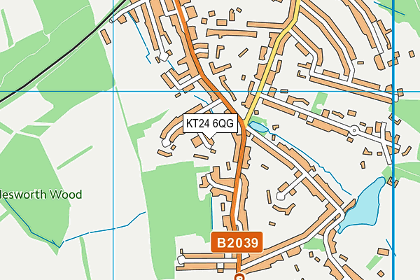 KT24 6QG map - OS VectorMap District (Ordnance Survey)