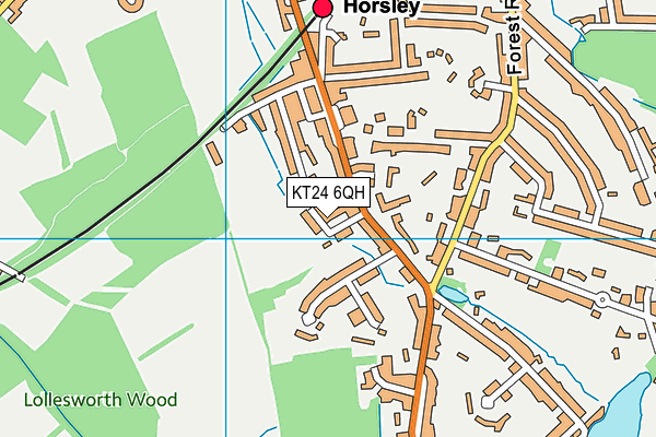 KT24 6QH map - OS VectorMap District (Ordnance Survey)