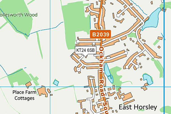 KT24 6SB map - OS VectorMap District (Ordnance Survey)