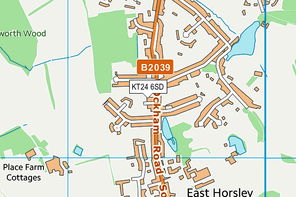 KT24 6SD map - OS VectorMap District (Ordnance Survey)