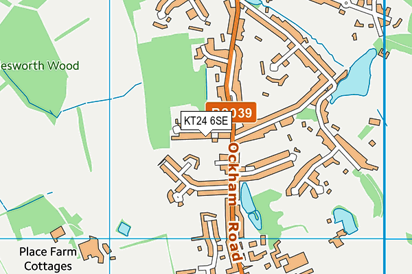 KT24 6SE map - OS VectorMap District (Ordnance Survey)
