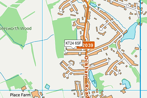 KT24 6SF map - OS VectorMap District (Ordnance Survey)