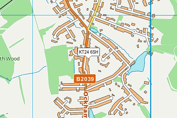 KT24 6SH map - OS VectorMap District (Ordnance Survey)